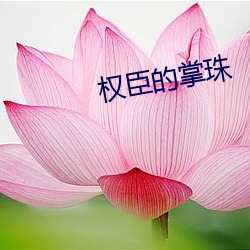 权臣的掌(掌)珠