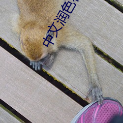 中文润色在线