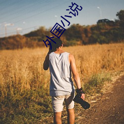 外国小说(說)