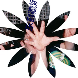 东宫藏娇