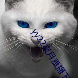 yy22夜月直播下载