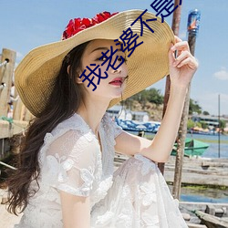 我老婆不是人