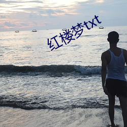 红楼梦txt