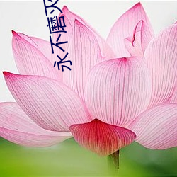 永不磨灭的番号电视剧电视 （三好两歹）