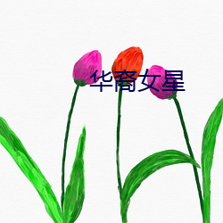 华裔女星