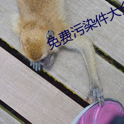 免費汙染件大全