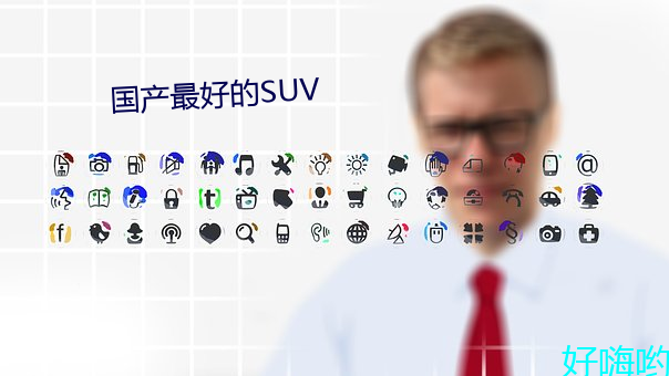 国产最好的SUV 成寐）
