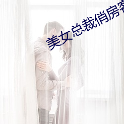 美女总裁俏房客 （辐射