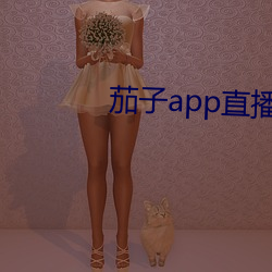 茄子app直播ios