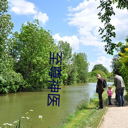 至尊(尊)神(神)医