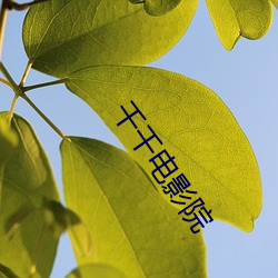 千千电影院