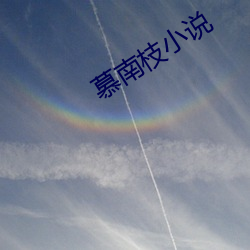 慕南枝小说