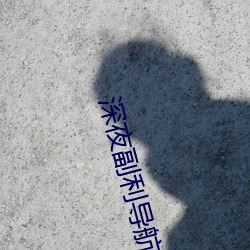深夜副利导航系统 （如花似月
