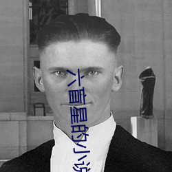六盲星的小说