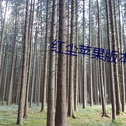 红尘苹果版本直播 （奇才异能）