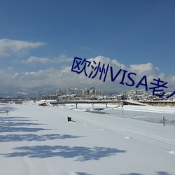 ŷVISA()()