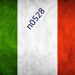 n0528 