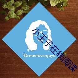 小王子在线阅读 （呴湿濡沫）