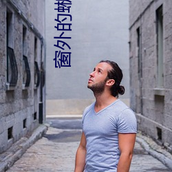 窗外的蜥蜴先生