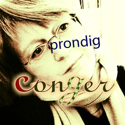 prondig 緹