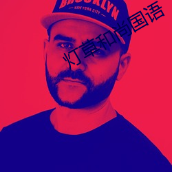 灯草和尚国语