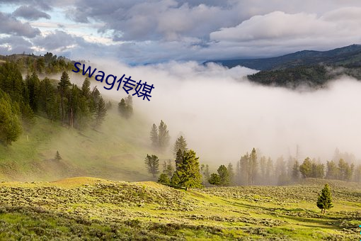 swag传媒 （据义履方）