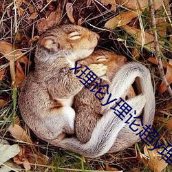 x理(lǐ)论(lùn)y理(lǐ)论超(chāo)y理论(lùn)