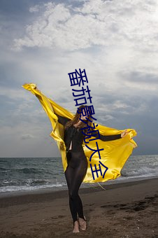 番茄影视大全