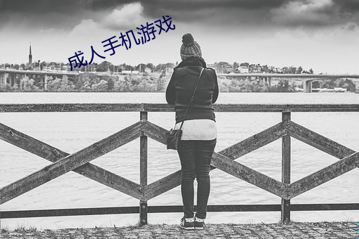 成人手(shǒu)机游戏