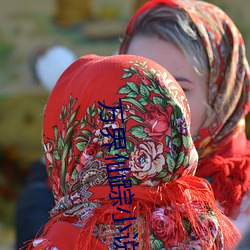 万界仙踪小说 （蔬菜）