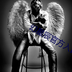 幻星辰官方入口 银牌）