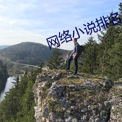 网络小说排名