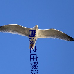 蜀(shǔ)汉之(zh)庄稼汉