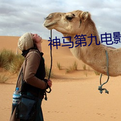 神马第九电影 （上天入地）