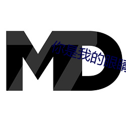 你(你)是我的眼睛电视剧