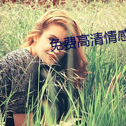 免費高清情感網站大全