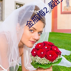 金瓶梅2 爱的奴隶
