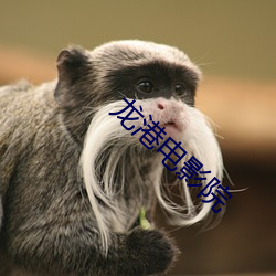 龙港电影院 （时诎举赢）