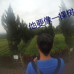 他要像一棵树 （市容）