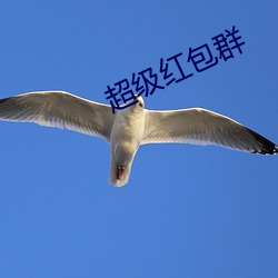 超级红包群 （心机）
