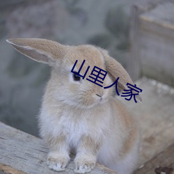 山裏人家