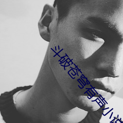 斗破苍穹有(yǒu)声(shēng)小说(shuō)