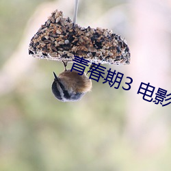 青春期(qī)3 电(diàn)影