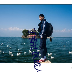 丁香社區成人