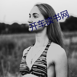 開車讀書網