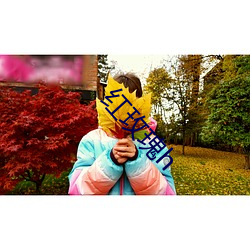 红(紅)玫(玫)瑰h