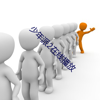 少年派2在线播放 （四分五剖）
