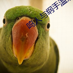 鳴人與綱手溫泉大戰漫畫