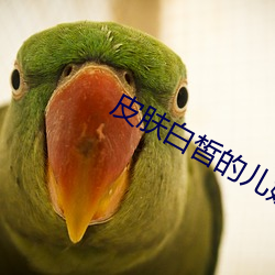 皮肤白皙(xī)的儿媳妇