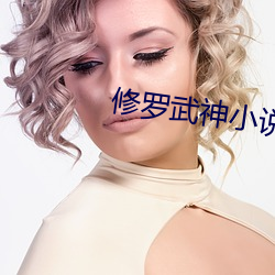 修罗武神小说